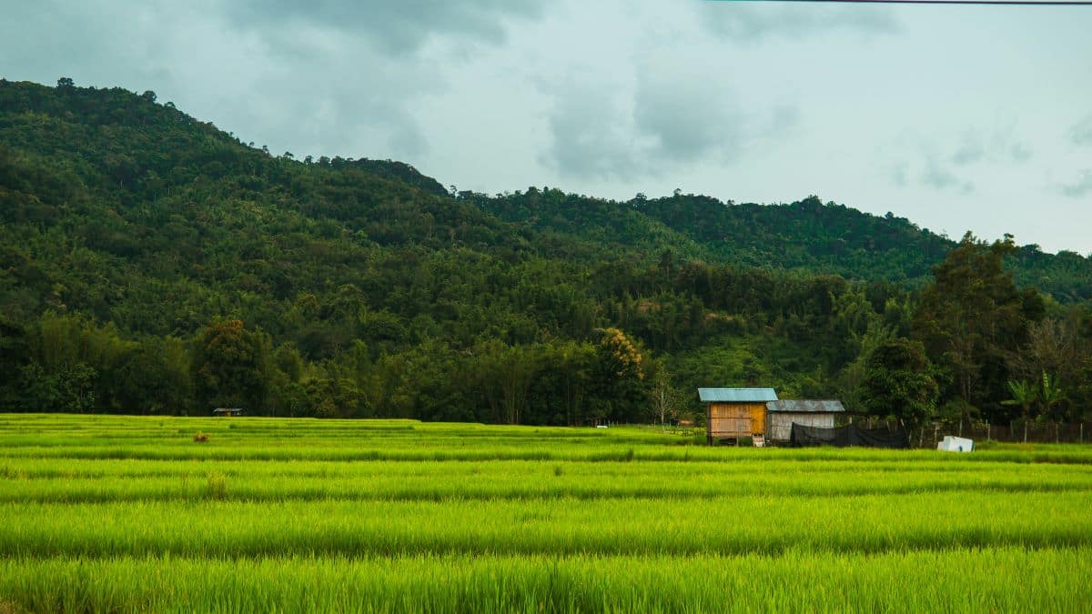 Sabah Neighborhoods